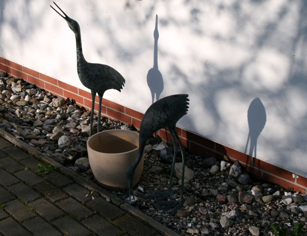 VWG vogelreis Oost Duitsland mei 2010 181